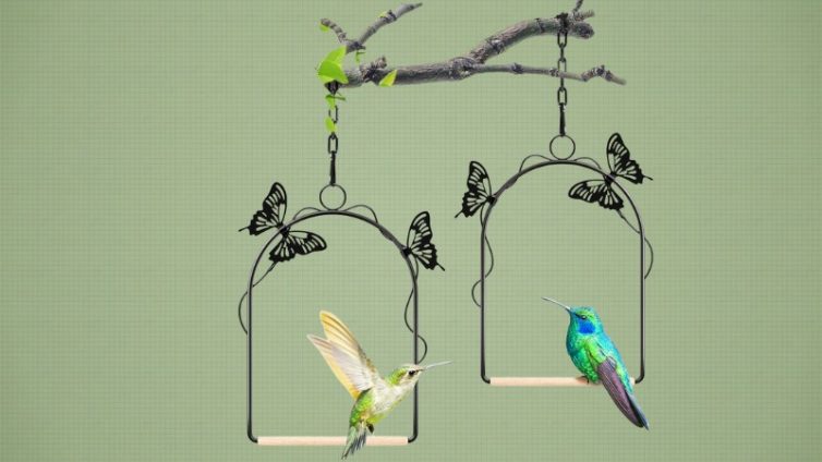 hummingbird swing gift for grandpa near me hummingbird swing gift for grandpa near me